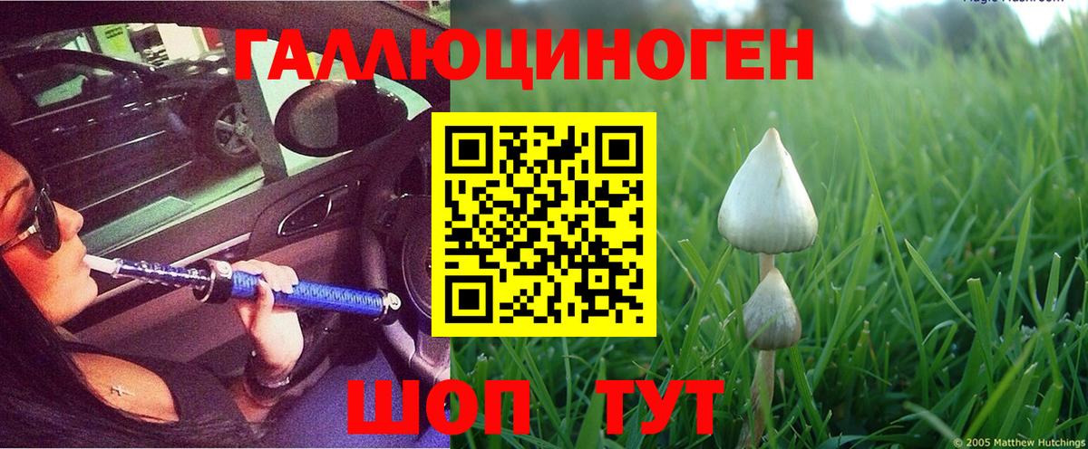 Псилоцибиновые грибы Magic Shrooms  Вход с VPN  Магнитогорск 